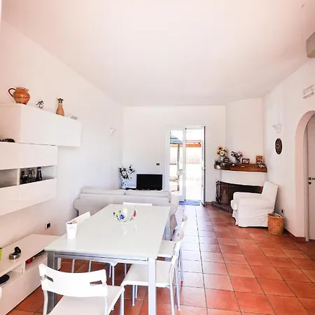 Holiday House Agave *